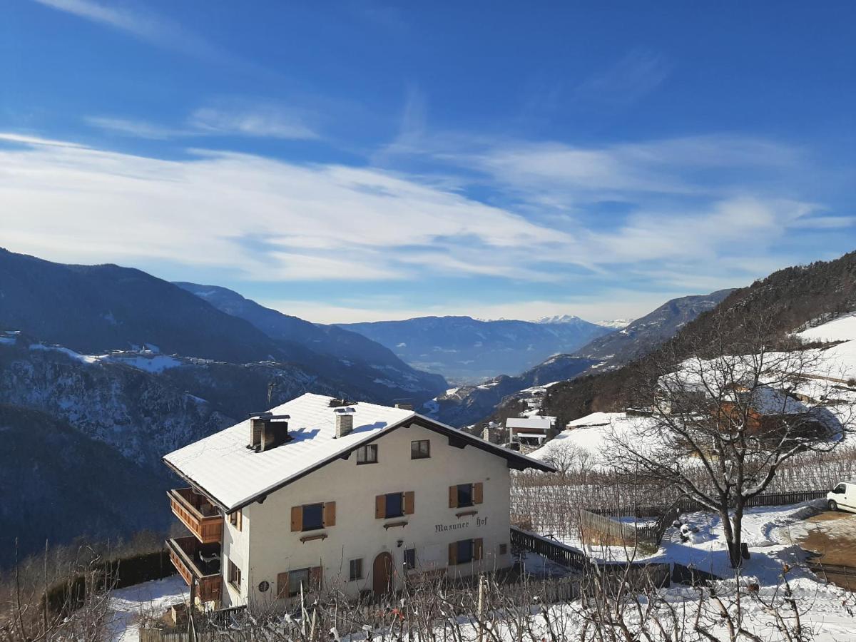 Ferienbauernhof Masunerhof فِيي المظهر الخارجي الصورة