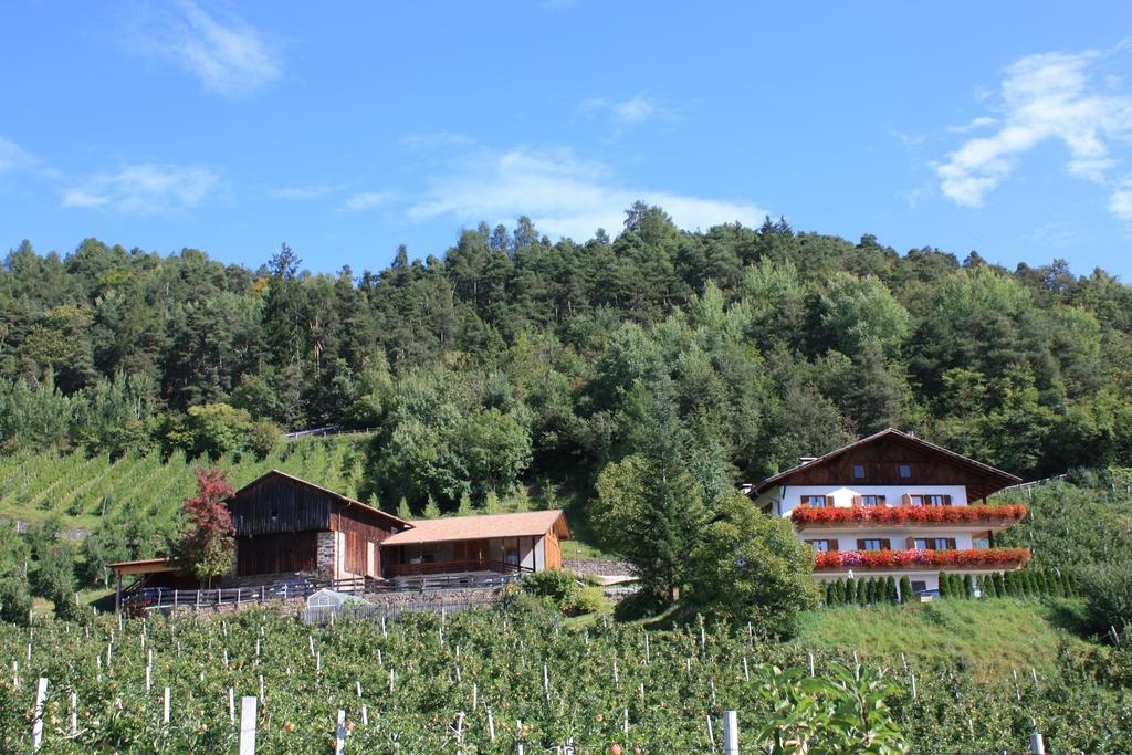 Ferienbauernhof Masunerhof فِيي المظهر الخارجي الصورة